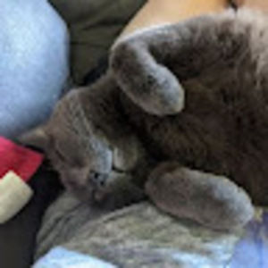 Meet your Posher, Lisa